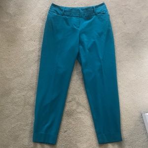 The limited curvy fit dress pants